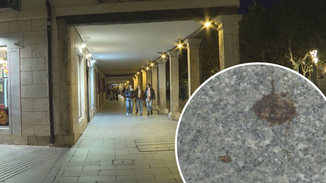 Atacan violentamente e insultan a dos policías en Alcalá de Henares