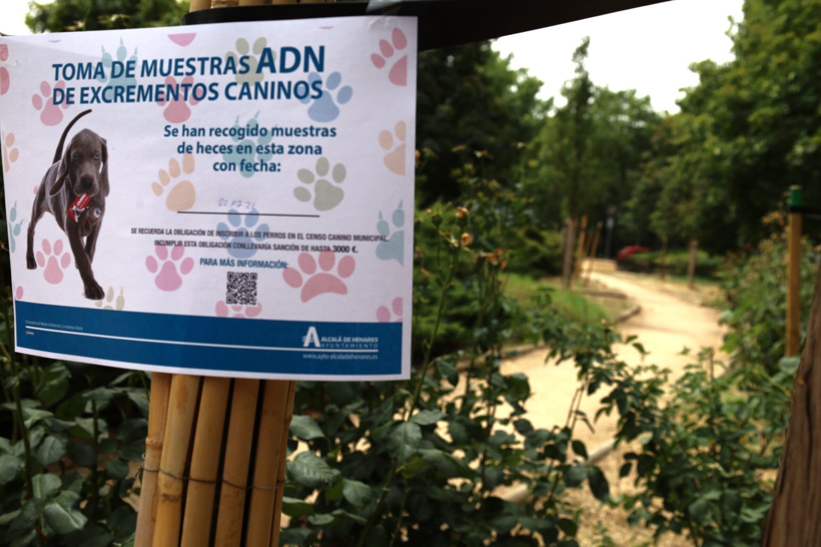 El Ayuntamiento de Alcalá intensifica la campaña de control sobre deyecciones caninas